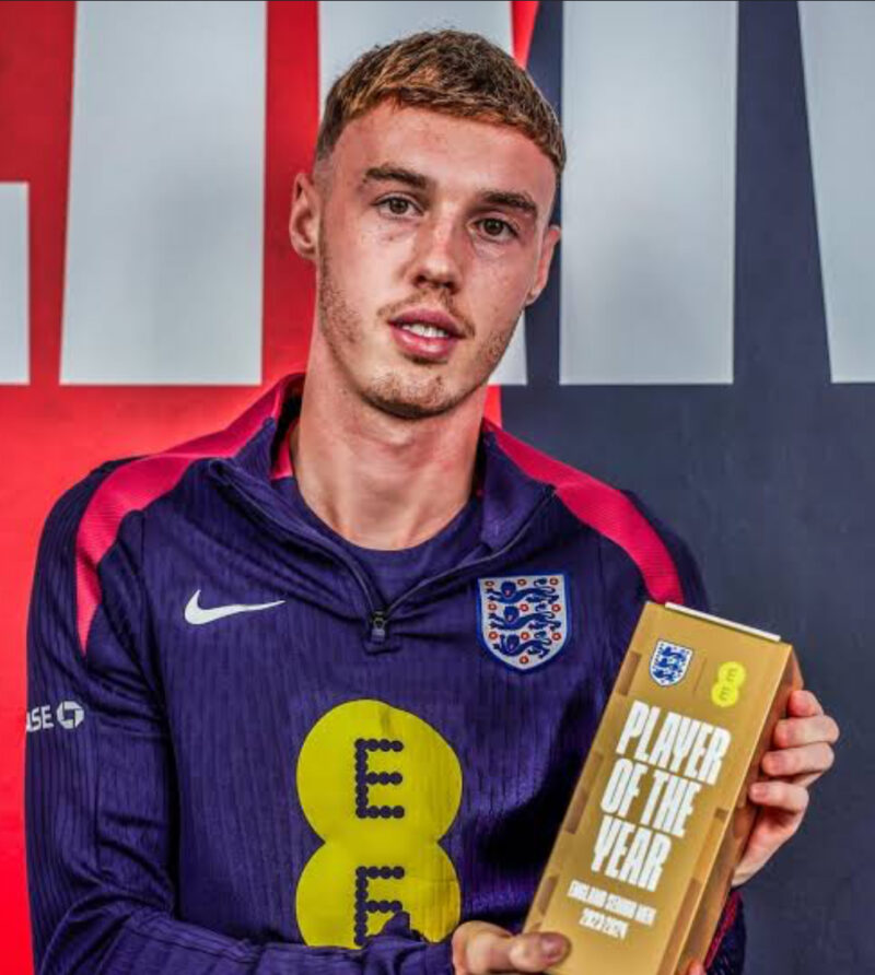 cole palmer. (photo credit: bbc media)