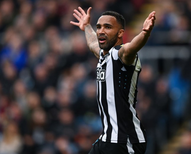 Callum Wilson (Photo Credit: Getty)