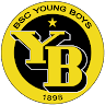 BSC Young Boys Logo