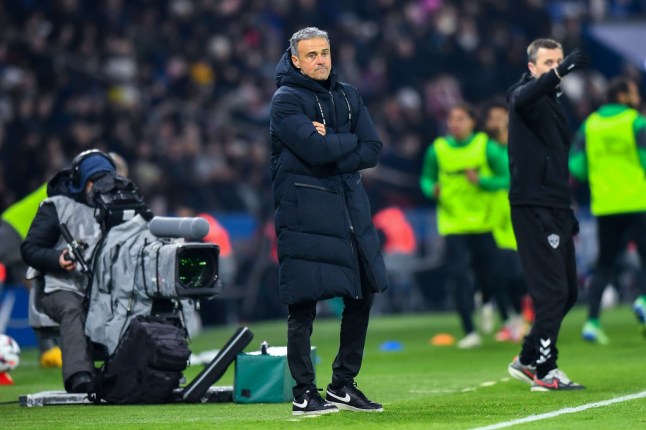 Luis Enrique (PSG MANAGER) (photo credit: Getty)