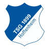 TSG 1899 Hoffenheim Logo