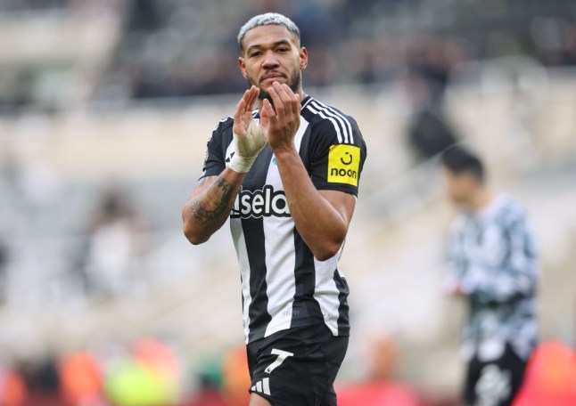 Joelinton (photo credit: Getty)