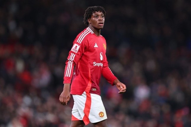 Man Uniteds £25m Signing Faces Huge Pressure to Deliver