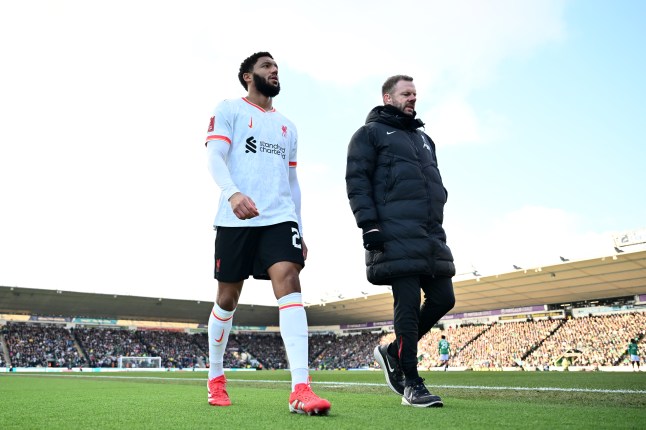 Joe Gomez (photo credit: Getty)