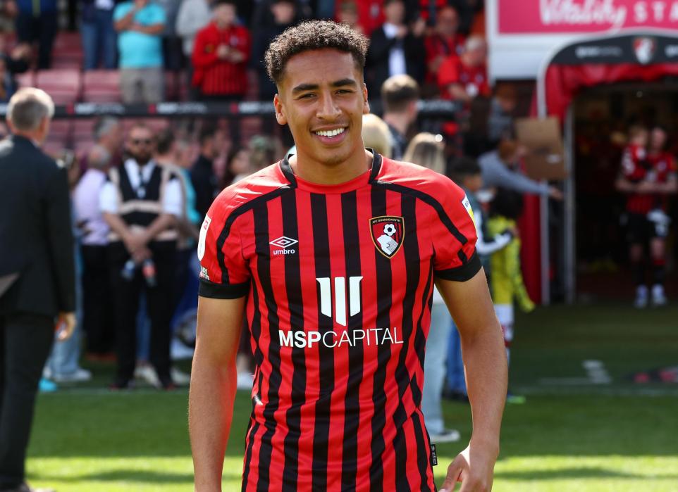 james hill. (photo credit: bournemouthecho media)