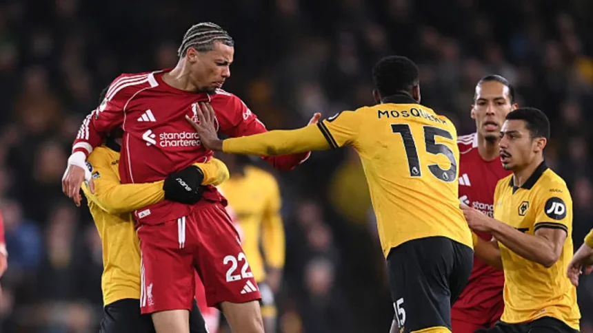 Liverpool 3-1 wolves. (photo credit: mlives media)